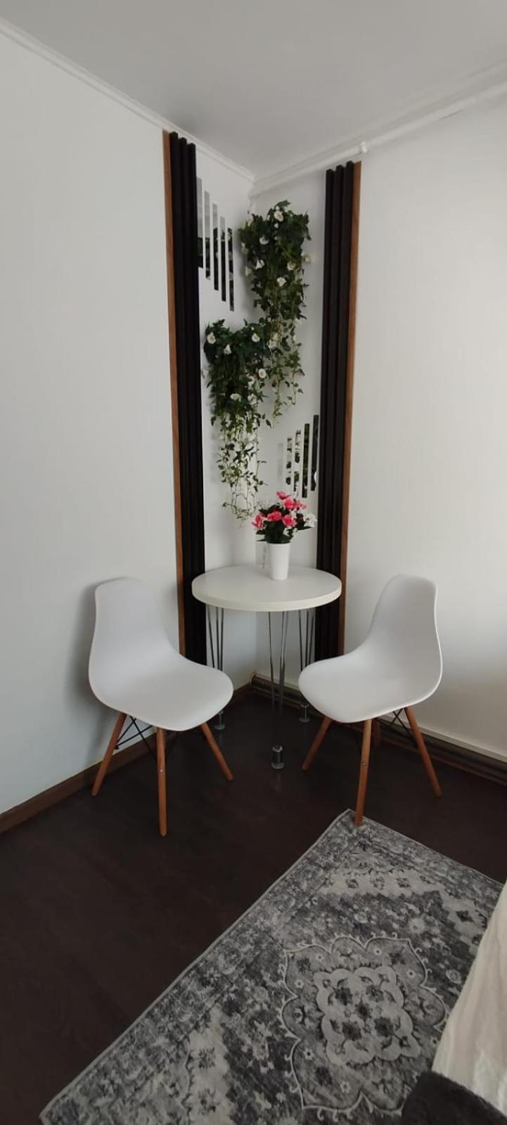 Apartment Casa Tudor Rares Brasov